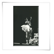 Mich�le Blaser - Hari Moutier
